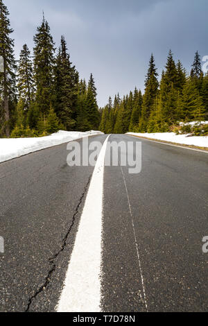 Leere Waldweg, Transalpina, Siebenbürgen, Rumänien Stockfoto