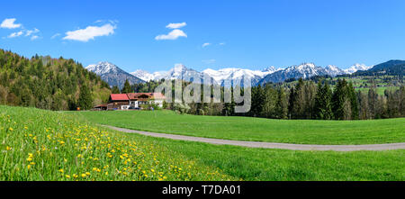 Frühling im oberen Allgäu in der Nähe von Tiefenbach Stockfoto