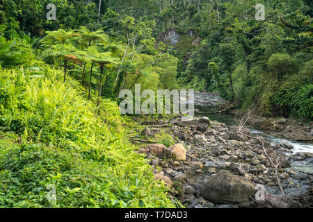 Fluss im Morne Trois Pitons Nationalpark, Dominica, Karibik, Gävle | Fluss in Morne Trois Pitons Nationalpark, Dominica, Karibik, Centr Stockfoto