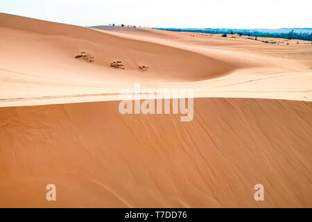 Atemberaubende Weitwinkel Antenne drone Ansicht der schönen roten Sanddüne. Hintergrund Textur der Wüste Sand Dünen von hohen Winkel. Antenne top vertikaler Stockfoto