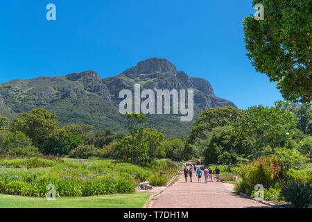 Kirstenbosch National Botanical Garden mit Blick auf die Ostseite des Table Mountain, Cape Town, Western Cape, Südafrika Stockfoto