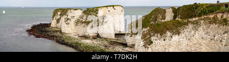 Hi-res Panorama Old Harry Rocks. Chalk Formationen, Stack und stumpf. Handfast Punkt auf der Isle of Purbeck, Dorset, Großbritannien. Stockfoto