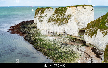 Hi-res Panorama Old Harry Rocks. Chalk Formationen, Stack und stumpf. Handfast Punkt auf der Isle of Purbeck, Dorset, Großbritannien. Stockfoto