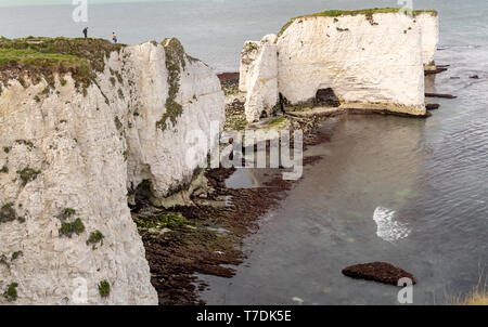 Old Harry Rocks. Chalk Formationen, darunter ein Stapel und einem baumstumpf an. Handfast Punkt auf der Isle of Purbeck, Dorset, Großbritannien. t Stockfoto