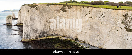 Hi-res Panorama Old Harry Rocks. Chalk Formationen, Stack und stumpf. Handfast Punkt auf der Isle of Purbeck, Dorset, Großbritannien. Stockfoto