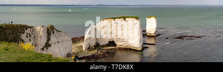 Hi-res Panorama Old Harry Rocks. Chalk Formationen, Stack und stumpf. Handfast Punkt auf der Isle of Purbeck, Dorset, Großbritannien. Stockfoto