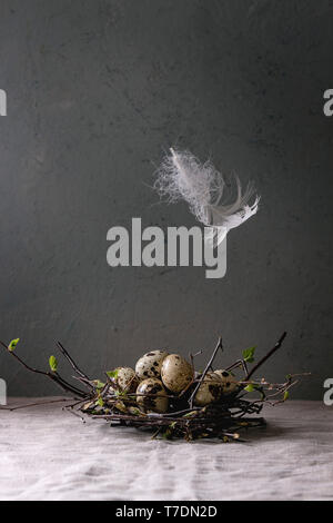 Wachtel Ostereier in Birds Nest mit weißen hochfliegende unten stehend auf grau Leinen Tischdecke mit Beton Wand im Hintergrund. Osterferien interi Stockfoto