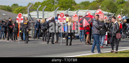 Oulton Park, Little Budworth, UK. 6. Mai, 2019. Bennetts British Superbike Championship, Runde 2, Tag 3; Grid für BSB Superbikes Rennen 1 Credit: Aktion plus Sport/Alamy leben Nachrichten Stockfoto