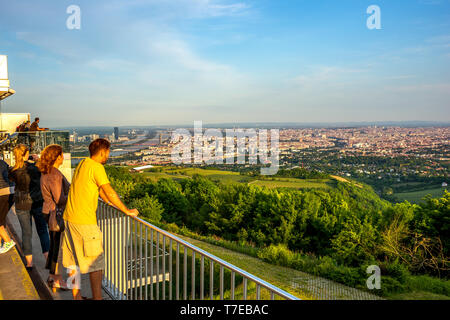 Blick über Wien vom Kahlenberg, Österreich Stockfoto