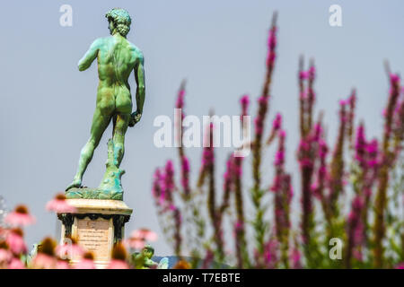 Blick auf die Statue von Michelangelos David in Florenz, Italien, an einem sonnigen Tag. Stockfoto
