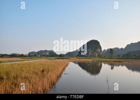 Reisfeld, Tam Coc-Bich Dong, Tam Coc, Nin Binh, Vietnam Stockfoto