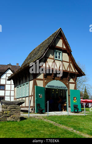 Weser Aquarium, Bodenwerder, Niedersachsen, Deutschland Stockfoto