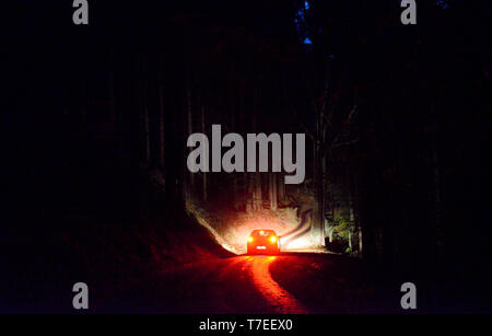 Auto in der Nacht, Waldweg, Sachsen, Deutschland Stockfoto