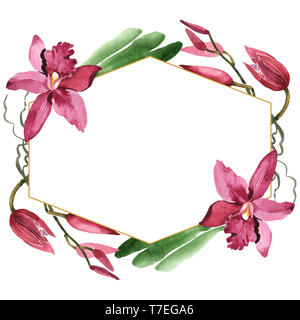 Marsala Orchidee Blumen botanischen Blumen. Wild Federblatt wildflower isoliert. Aquarell Hintergrund Abbildung. Aquarell Zeichnung Mode aqu Stockfoto