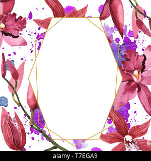 Marsala Orchidee Blumen botanischen Blumen. Wild Federblatt wildflower isoliert. Aquarell Hintergrund Abbildung. Aquarell Zeichnung Mode aqu Stockfoto