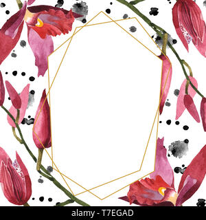 Marsala Orchidee Blumen botanischen Blumen. Wild Federblatt wildflower isoliert. Aquarell Hintergrund Abbildung. Aquarell Zeichnung Mode aqu Stockfoto