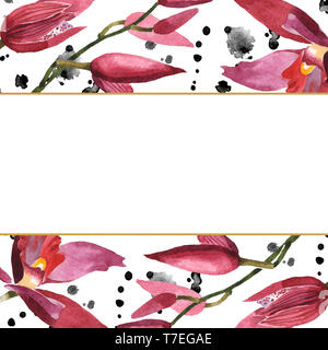 Marsala Orchidee Blumen botanischen Blumen. Wild Federblatt wildflower isoliert. Aquarell Hintergrund Abbildung. Aquarell Zeichnung Mode aqu Stockfoto