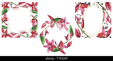 Marsala Orchidee Blumen botanischen Blumen. Wild Federblatt wildflower isoliert. Aquarell Hintergrund Abbildung. Aquarell Zeichnung Mode aqu Stockfoto