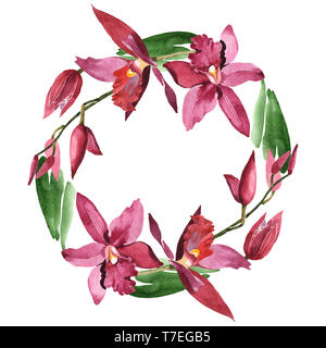 Marsala Orchidee Blumen botanischen Blumen. Wild Federblatt wildflower isoliert. Aquarell Hintergrund Abbildung. Aquarell Zeichnung Mode aqu Stockfoto