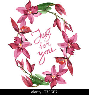 Marsala Orchidee Blumen botanischen Blumen. Wild Federblatt wildflower isoliert. Aquarell Hintergrund Abbildung. Aquarell Zeichnung Mode aqu Stockfoto