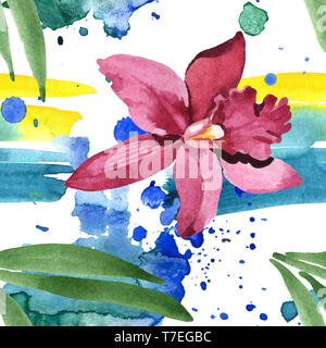 Marsala orchid botanischen Blumen. Wild Federblatt wildflower isoliert. Aquarell Abbildung. Aquarell Zeichnung mode Aquarelle. Nahtlose b Stockfoto