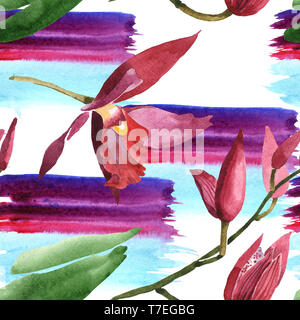 Marsala orchid botanischen Blumen. Wild Federblatt wildflower isoliert. Aquarell Abbildung. Aquarell Zeichnung mode Aquarelle. Nahtlose b Stockfoto