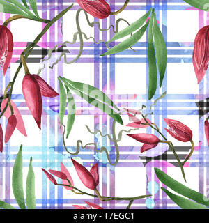 Marsala orchid botanischen Blumen. Wild Federblatt wildflower isoliert. Aquarell Abbildung. Aquarell Zeichnung mode Aquarelle. Nahtlose b Stockfoto