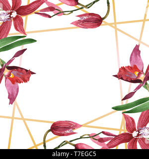 Marsala Orchidee Blumen botanischen Blumen. Wild Federblatt wildflower isoliert. Aquarell Hintergrund Abbildung. Aquarell Zeichnung Mode aqu Stockfoto