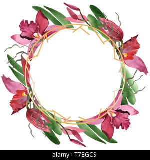 Marsala Orchidee Blumen botanischen Blumen. Wild Federblatt wildflower isoliert. Aquarell Hintergrund Abbildung. Aquarell Zeichnung Mode aqu Stockfoto