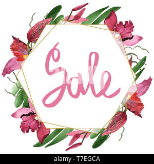 Marsala Orchidee Blumen botanischen Blumen. Wild Federblatt wildflower isoliert. Aquarell Hintergrund Abbildung. Aquarell Zeichnung Mode aqu Stockfoto