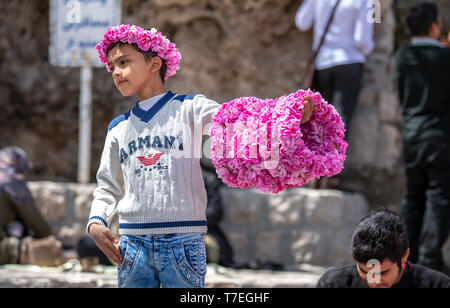 Niasar, Iran, 25. April 2019: Iranische junger Mann mit Blumen, verkaufen Sie an die passbyers stieg während der Erntezeit Stockfoto