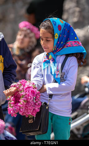 Niasar, Iran, 25. April 2019: Iranische junge Lady mit Blumen, verkaufen Sie an die passbyers stieg während der Erntezeit Stockfoto