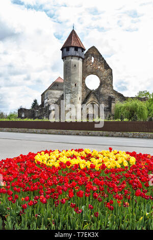 Zisterzienser Kloster in Carta aufgegeben, Sibiu Grafschaft, in Rumänien Stockfoto