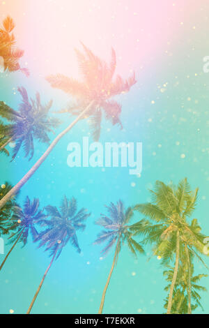 Kokospalmen vintage Farben mit gold glitzer Bokeh. Stockfoto