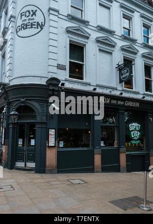 Fox auf dem Grün, Upper Street, London Stockfoto