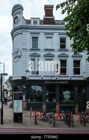 Fox auf dem Grün, Upper Street, London Stockfoto