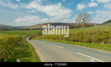 Panoramablick auf die malerische Landschaft auf der B 6478 Landstraße zwischen Newton-in-Bowland und Dunsop Brücke, Wald von Bowland Stockfoto