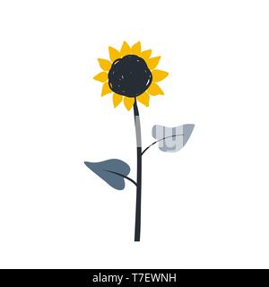 Reif Sonnenblume cartoon Skizze mit großen Blüten und Samen Skizze. Isolierte Vector Illustration auf schwarzen Hintergrund. Stock Vektor