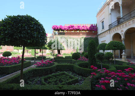 Der Garten der Casa de Pilatos in Sevilla, Andalusien, Spanien. Stockfoto