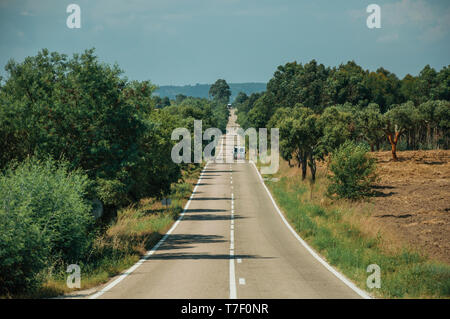 Gerade lange Straße mit einsamen Auto durch Landschaft und belaubten Bäumen, an einem sonnigen Tag in der Nähe von Castelo Branco. Ein ehemaliges Bistum in Zentralportugal. Stockfoto