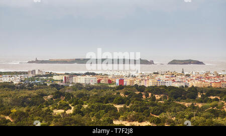 Anzeigen von Mogador Insel von einem Strand in Essaouira Marokko mit einer Möwe Stockfoto