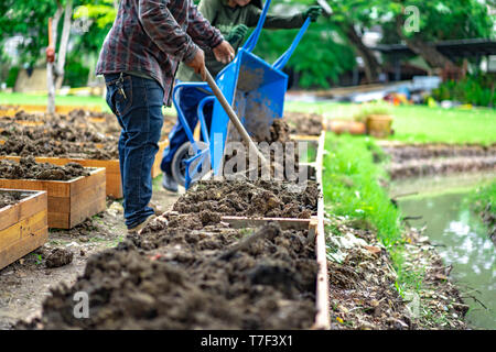 Boden in Rechteck Blumentopf ist für homegrown Gemüse Pflanzung im Garten vorbereitet. Stockfoto