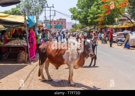 Indische humped Kuh stehend in der Straße in der Hauptstraße in Shahpura, einer Stadt in der dindori Bezirk der zentralen indischen Bundesstaat Madhya Pradesh Stockfoto