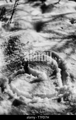 Herzform auf dem Schnee Nähe zu sehen. Stockfoto