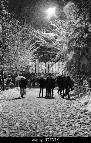 30 Dezember 2014, Eskisehir, Türkei Schnee Szenen aus der Türkei Eskisehir in einer verschneiten Nacht Stockfoto