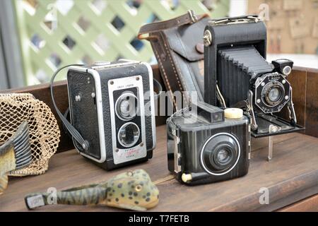 Ältere Kameras aus Kunststoff und Papier für Verkauf für Sammlungen Stockfoto