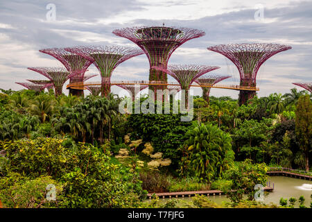 Supertrees an den Gärten an der Bucht Natur Park, Singapur, Südostasien Stockfoto