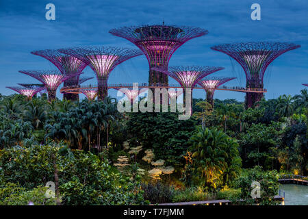 Supertree Grove an den Gärten an der Bucht Natur Park, Singapur, Südostasien Stockfoto