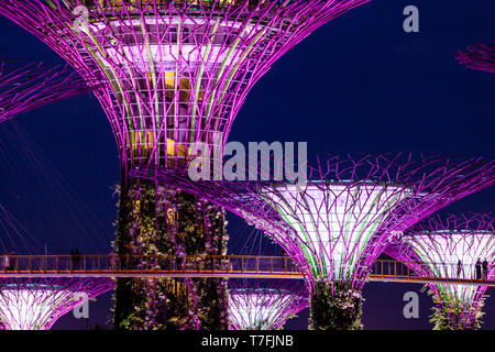 Supertree Grove an den Gärten an der Bucht Natur Park, Singapur, Südostasien Stockfoto