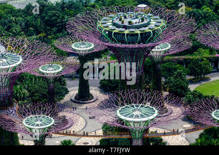 Supertree Grove an den Gärten an der Bucht Natur Park, Singapur, Südostasien Stockfoto